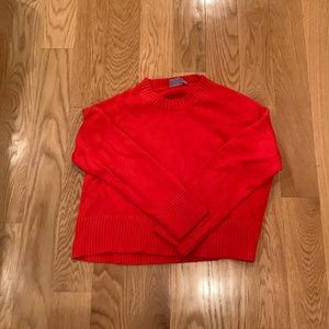Everlane orangish/red jumper.